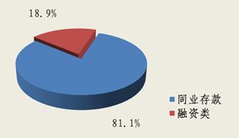 北京市分行投資管理策略與實踐